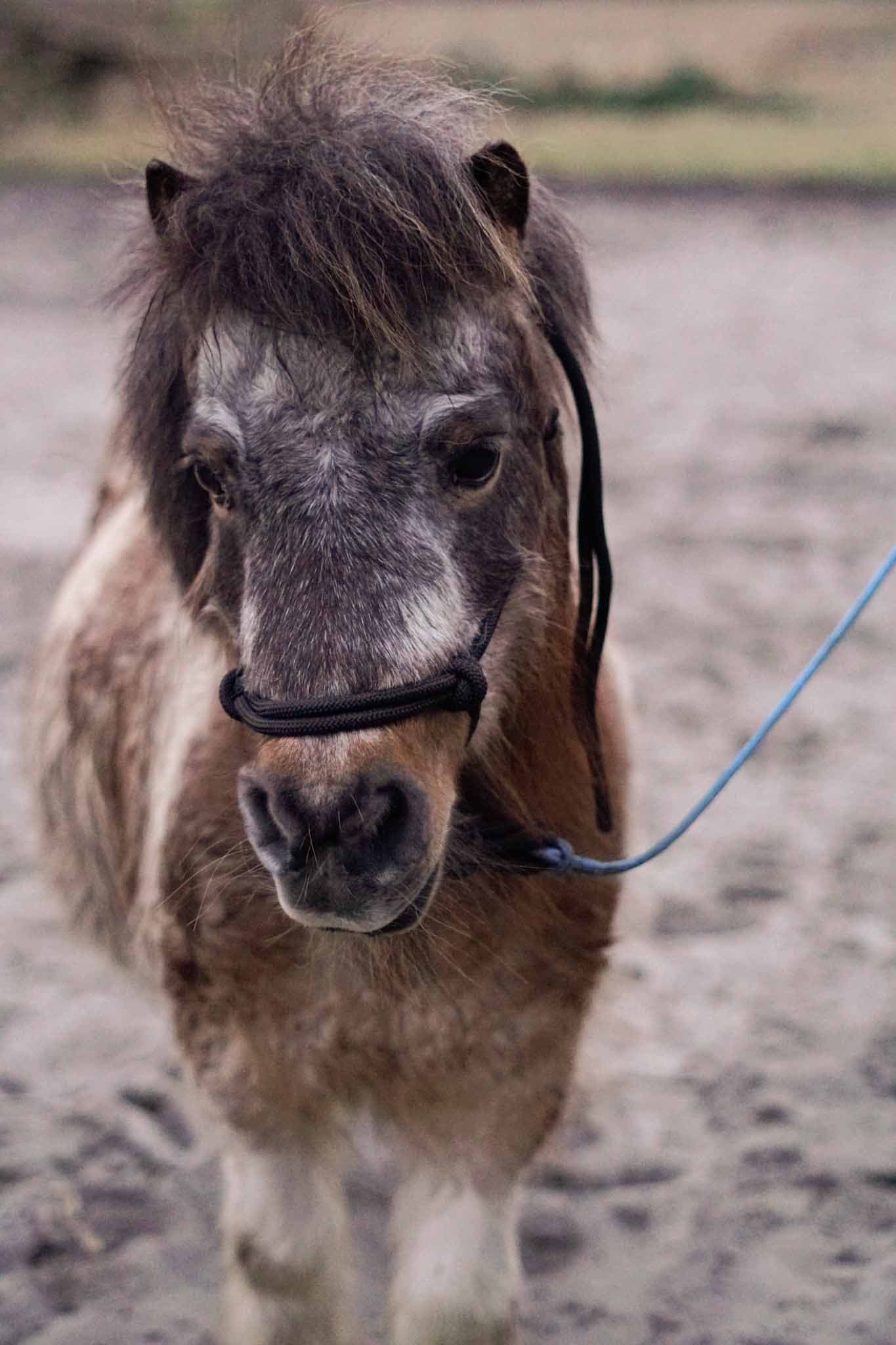 Portrait – Seelenmomentefotografie
